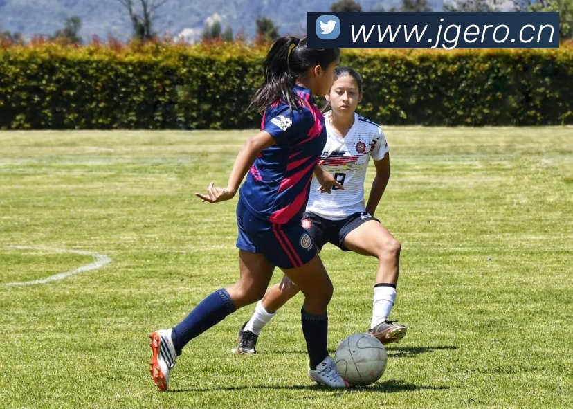 lejing乐竞体育APP 封面图